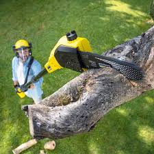 Professional Tree Services in Deerfield, MI